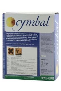 Cymbal 1 kg